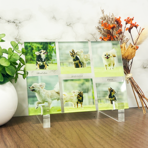 アクリルパネル 6枚ステアーズデザイン