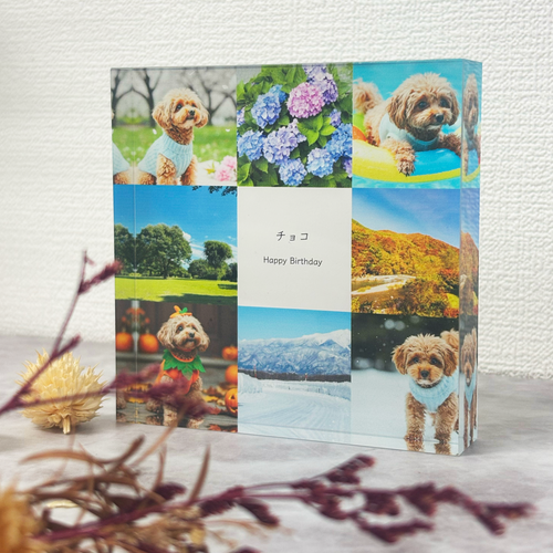 アクリルブロック コラージュデザイン