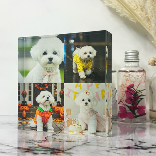 アクリルブロック 4枚デザイン